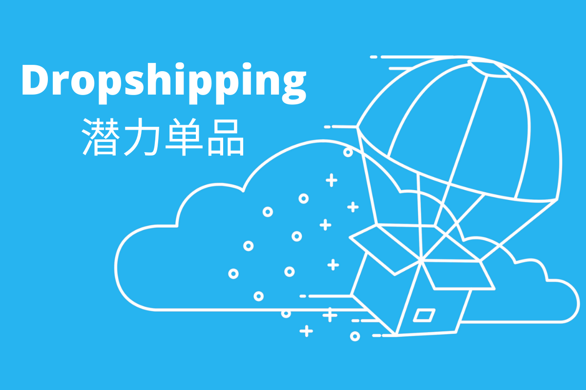 10款Dropshipping的潜力单品