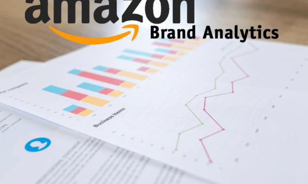 亚马逊新功能，Brand Analytics怎么用？